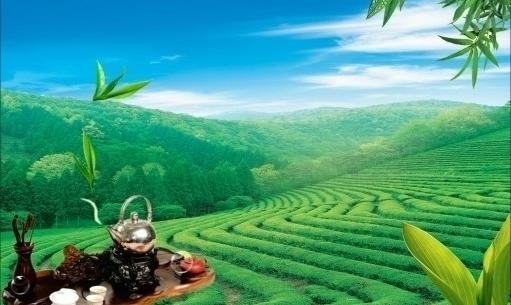 76j58PICtxd_1024.jpg 76j58PICtxd_1024.jpg