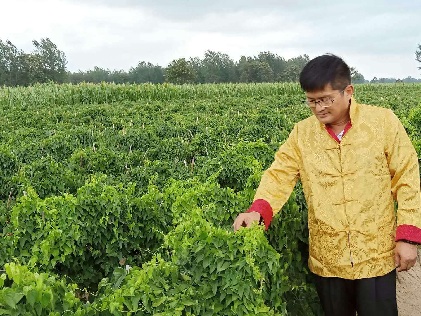 微信图片_20180911071812.jpg 微信图片_20180911071812.jpg