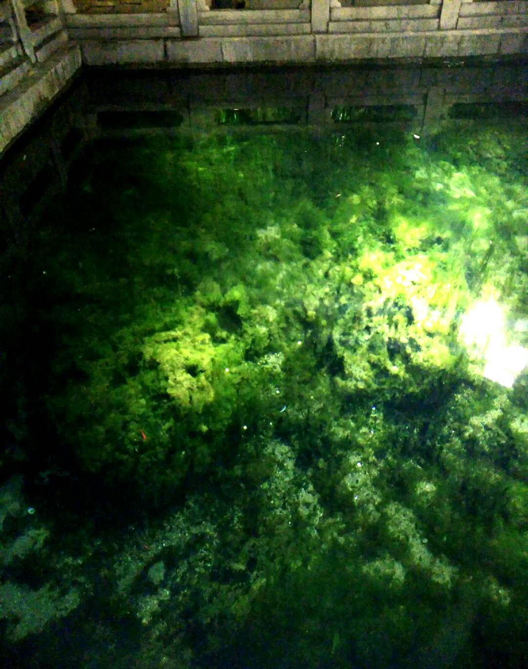 微信图片_20181006001042.jpg 微信图片_20181006001042.jpg